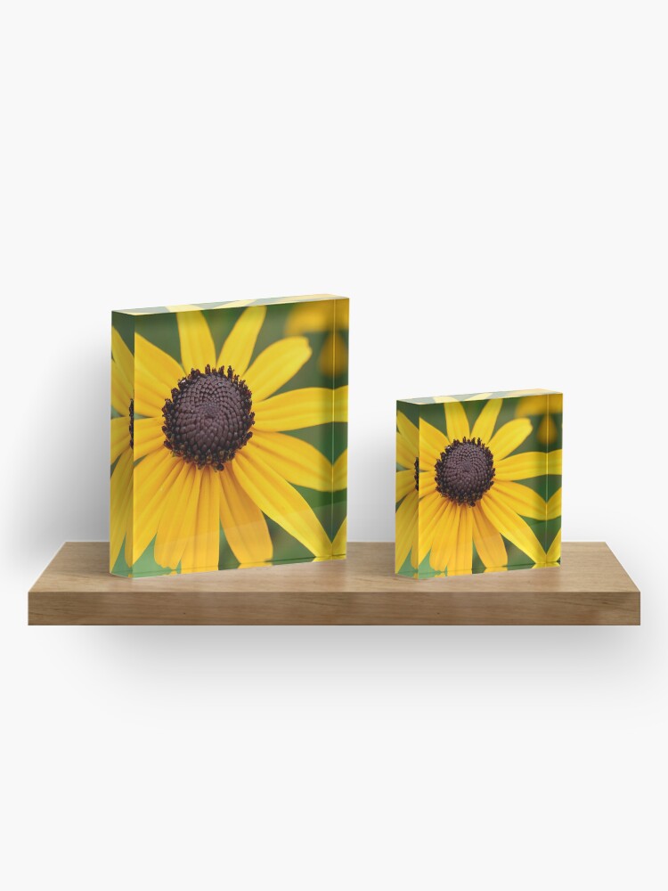 Acrylic Block, Brown-Eyed Susan designed and sold by Danielle Scott