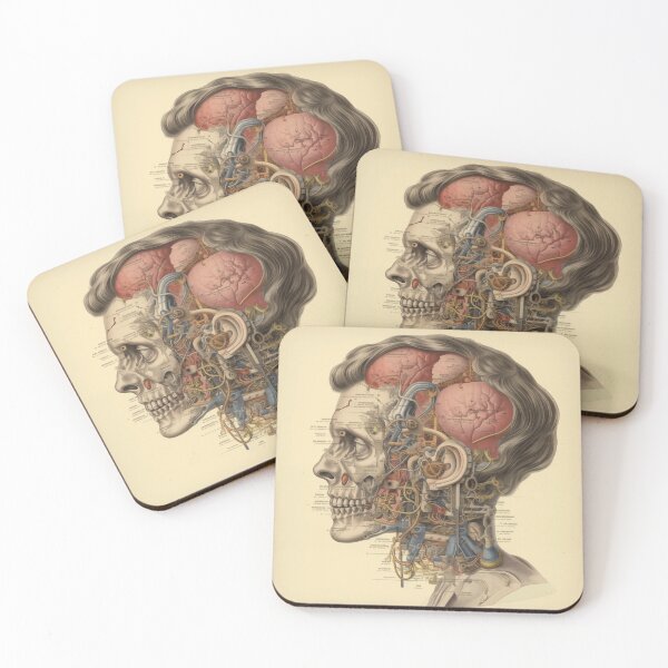 Item preview, Vintage Anatomy art designed and sold by nomiraclehere.