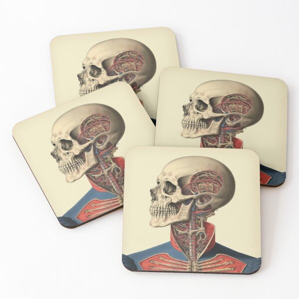 Item preview, Vintage Anatomy art designed and sold by nomiraclehere.