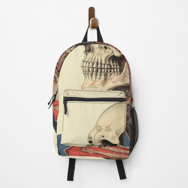 Item preview, Vintage Anatomy art designed and sold by nomiraclehere.