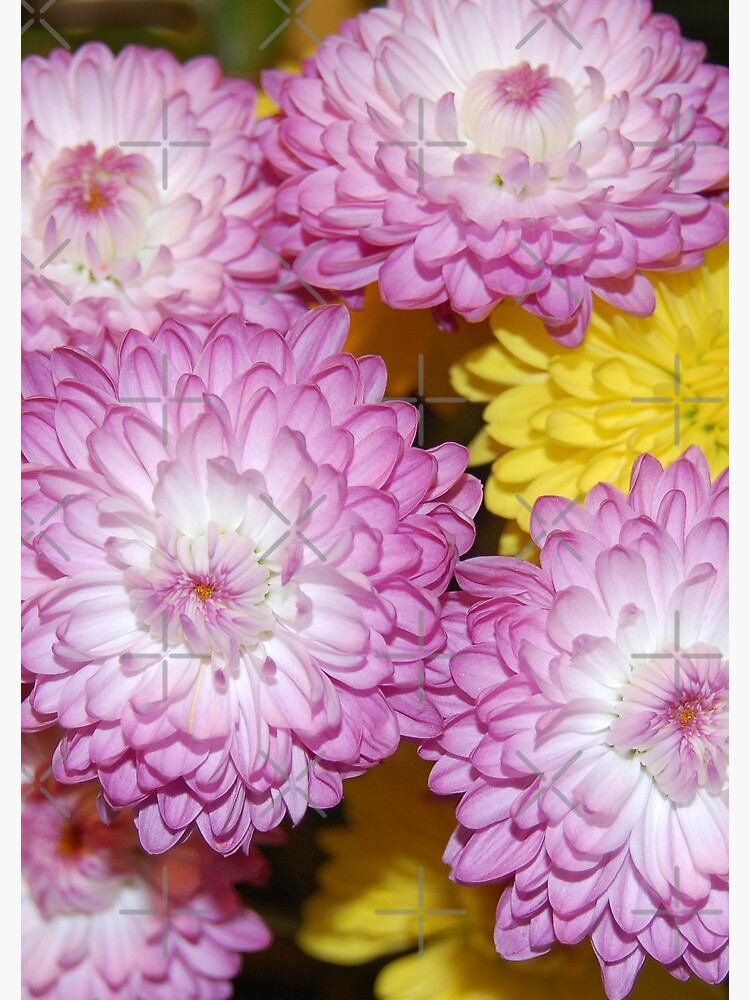 Thumbnail 3 of 3, Spiral Notebook, Spring Bouquet designed and sold by Danielle Scott.