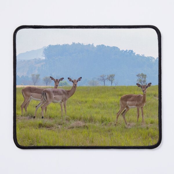 Item preview, Impala Herd in the Grassland designed and sold by SafariByMarisa.