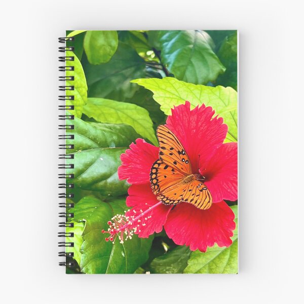 Item preview, Butterfly landing on Hibiscus Flower designed and sold by CoastalBluesCO.
