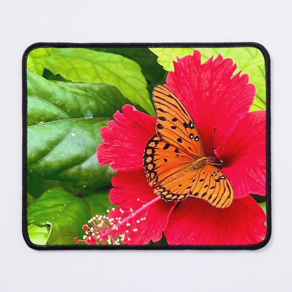 Item preview, Butterfly landing on Hibiscus Flower designed and sold by CoastalBluesCO.
