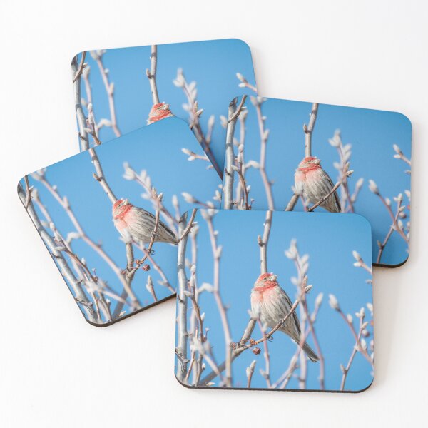 Item preview, Male House Finch Daydreaming designed and sold by Debra Martz.