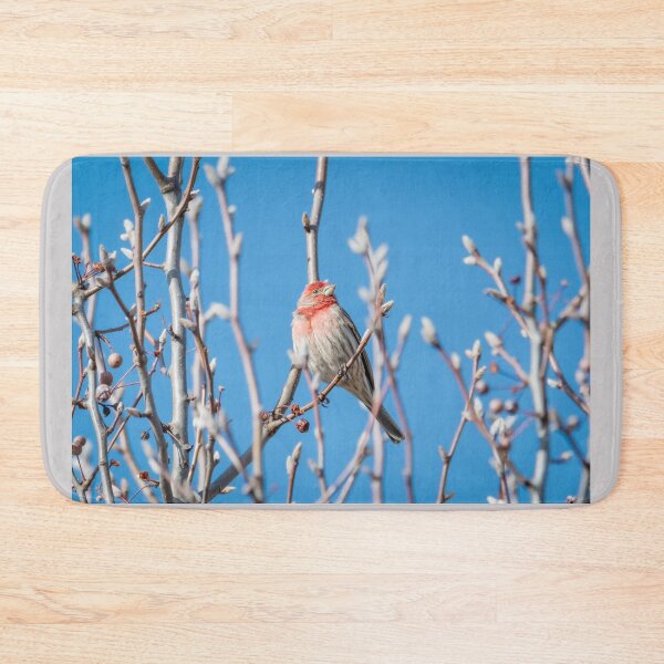 Item preview, Male House Finch Daydreaming designed and sold by Debra Martz.