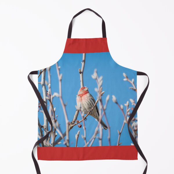Item preview, Male House Finch Daydreaming designed and sold by Debra Martz.