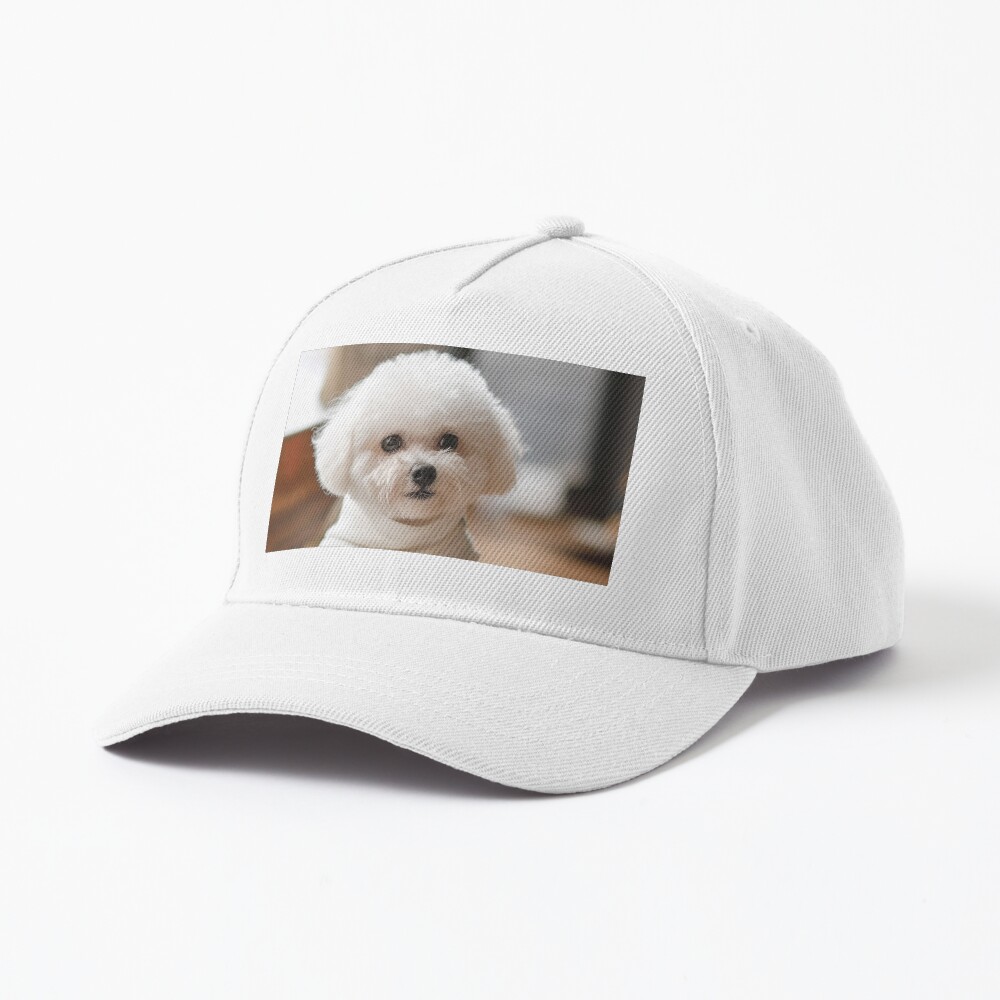 Item preview, Baseball Cap designed and sold by Shmoylov-Art.