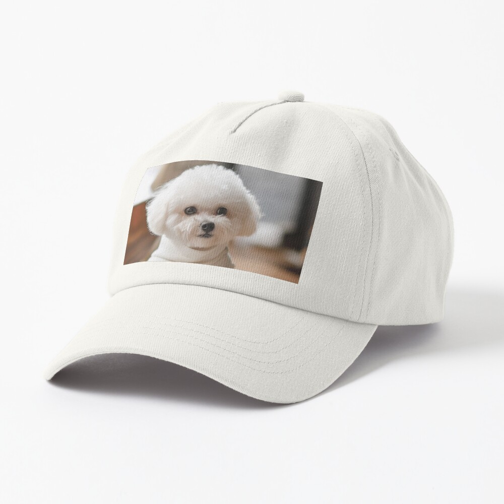 Item preview, Dad Hat designed and sold by Shmoylov-Art.