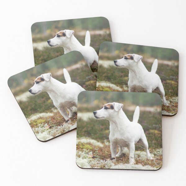 Item preview, Terrier looking out for rabbits in the forest designed and sold by riku05830.
