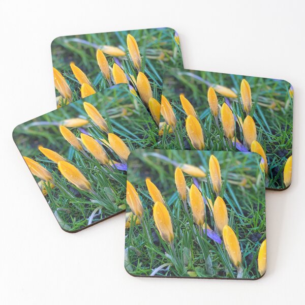 Item preview, Crocus panorama designed and sold by Violaman.