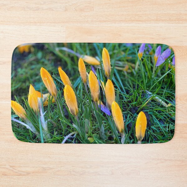 Item preview, Crocus panorama designed and sold by Violaman.