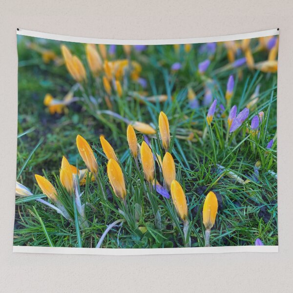 Item preview, Crocus panorama designed and sold by Violaman.