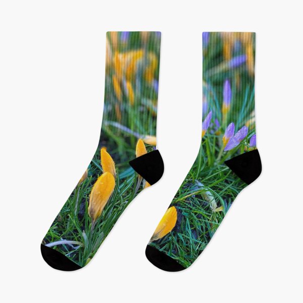 Item preview, Crocus panorama designed and sold by Violaman.