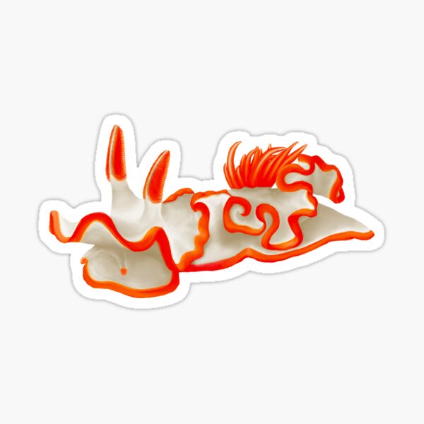 Item preview, Ardeadoris Averni Nudibranch (Sea Slug) designed and sold by Vyn Studios.