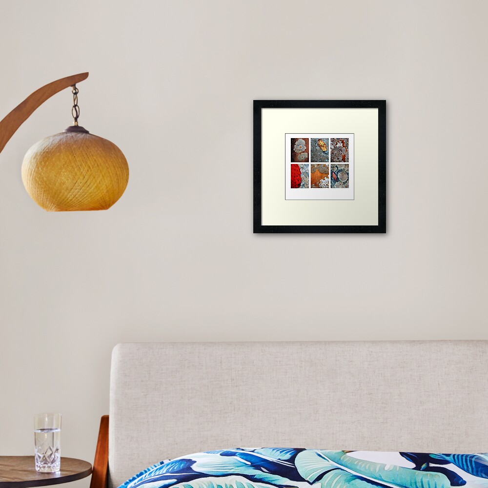 River Rock Lichen Framed Art Print