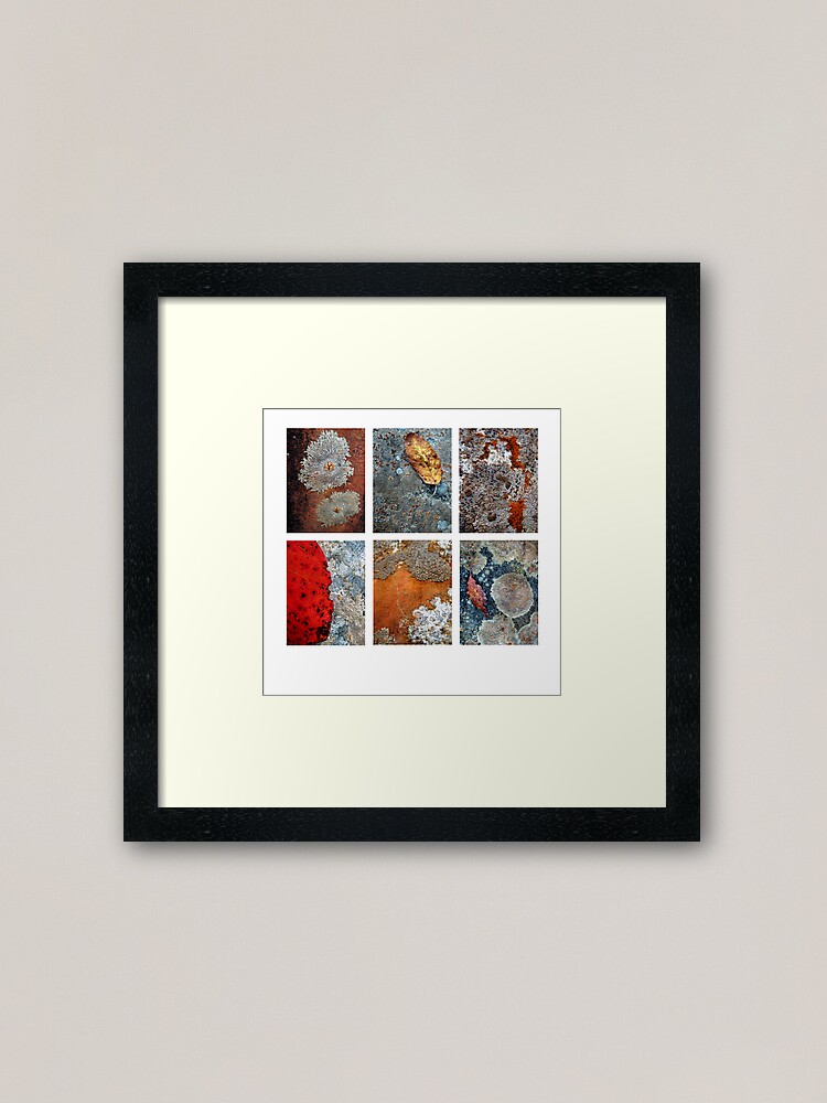 Alternate view of River Rock Lichen Framed Art Print