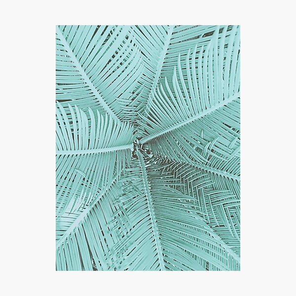 Turquoise Teal Palm Leaves Photographic Print