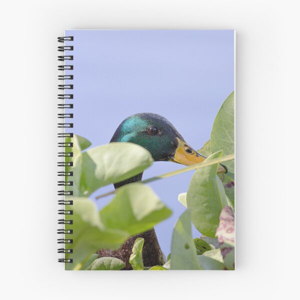 Item preview, Duck Side Eye designed and sold by BlackPlumPhoto.