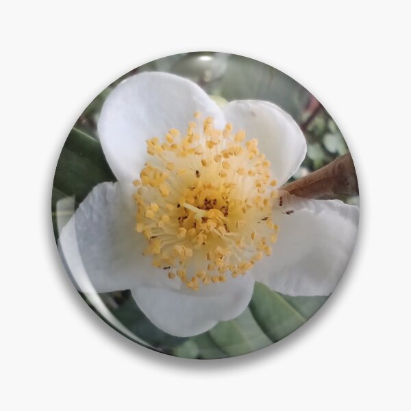 Item preview, Flowering tea plant  designed and sold by Bmusicjr.