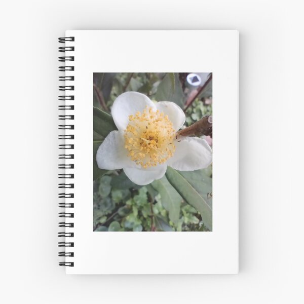 Item preview, Flowering tea plant  designed and sold by Bmusicjr.
