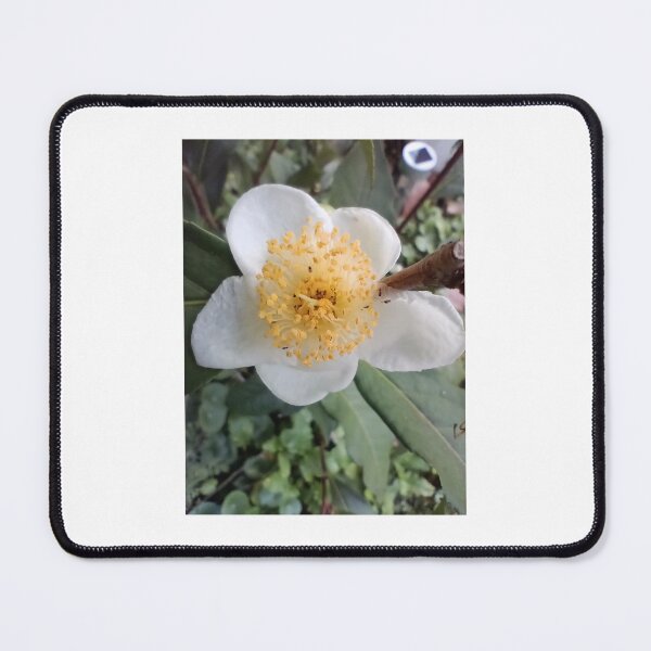 Item preview, Flowering tea plant  designed and sold by Bmusicjr.