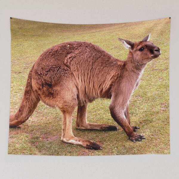 Item preview, Australian Kangaroo #16 designed and sold by KingdomWildlife.