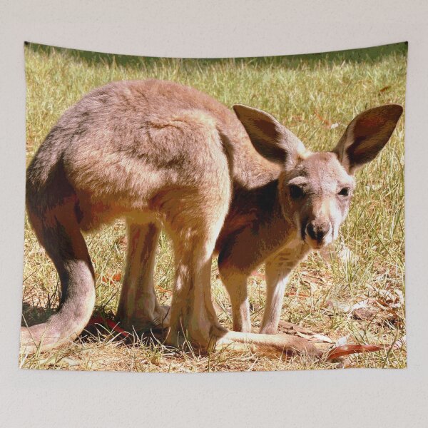 Item preview, Australian Kangaroo #17 designed and sold by KingdomWildlife.