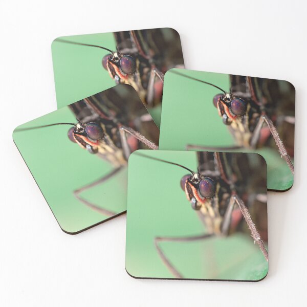 Item preview, Butterfly Eye Close Up designed and sold by BlackPlumPhoto.