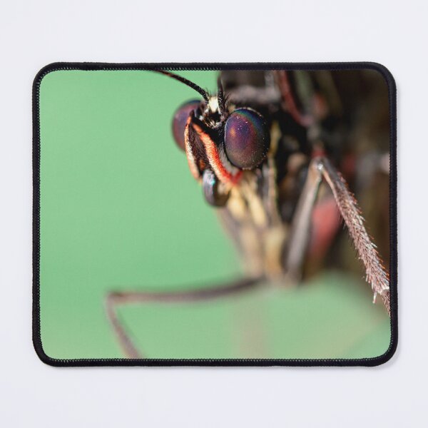 Item preview, Butterfly Eye Close Up designed and sold by BlackPlumPhoto.