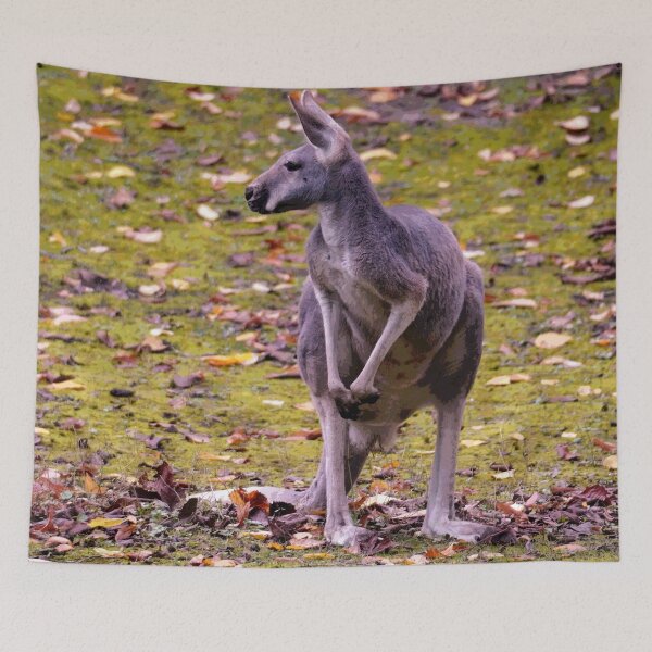 Item preview, Australian Kangaroo #20 designed and sold by KingdomWildlife.