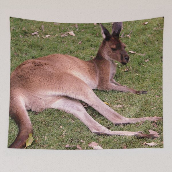 Item preview, Australian Kangaroo #21 designed and sold by KingdomWildlife.