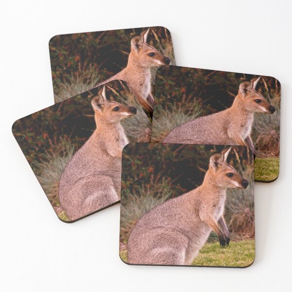 Item preview, Australian Kangaroo #24 designed and sold by KingdomWildlife.
