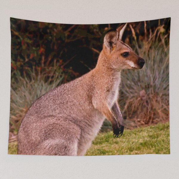 Item preview, Australian Kangaroo #24 designed and sold by KingdomWildlife.