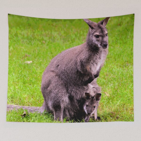 Item preview, Australian Kangaroos #25 designed and sold by KingdomWildlife.