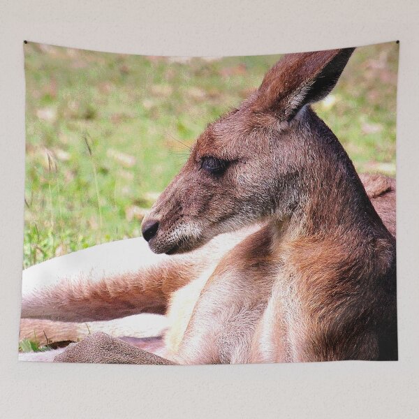 Item preview, Australian Kangaroo #27 designed and sold by KingdomWildlife.