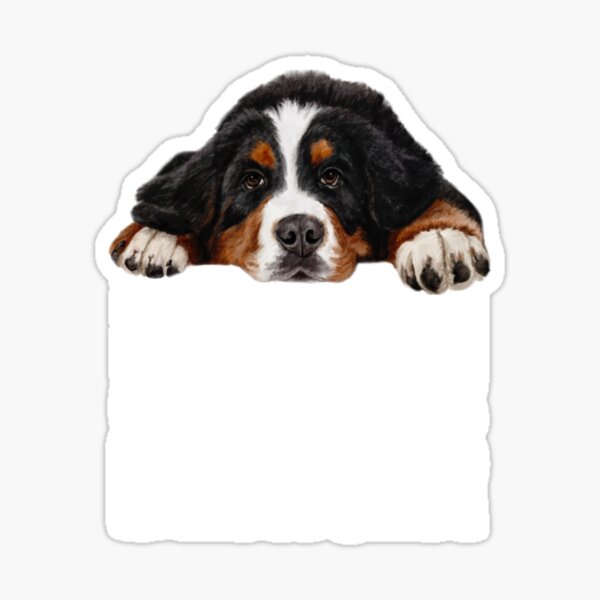 Item preview, Bernese mountain dog designed and sold by BERNESEMOUNTAINDOGSTUFF !.
