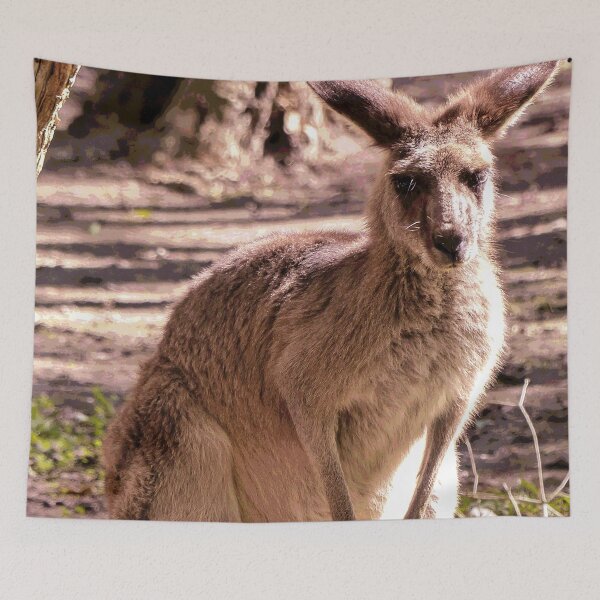 Item preview, Australian Kangaroo #28 designed and sold by KingdomWildlife.