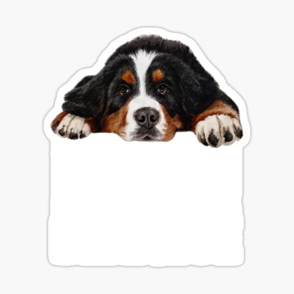 Item preview, Bernese mountain dog designed and sold by BERNESEMOUNTAINDOGSTUFF !.