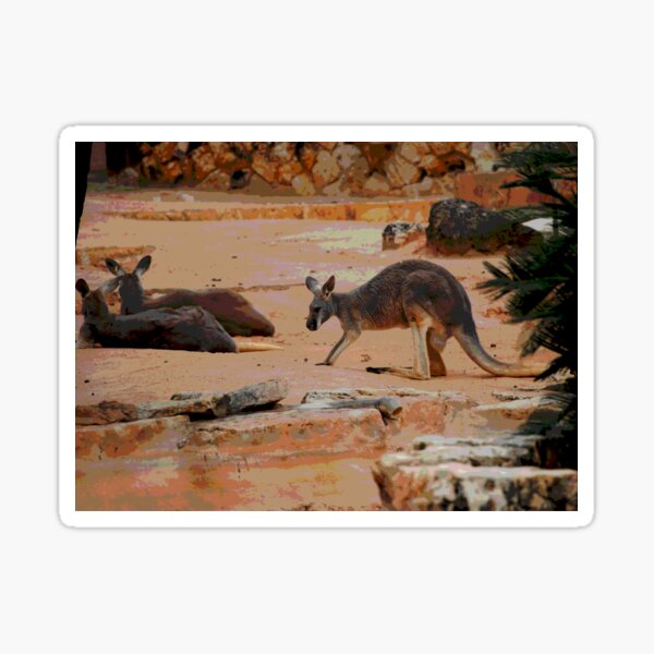 Item preview, Australian Kangaroos #30 designed and sold by KingdomWildlife.