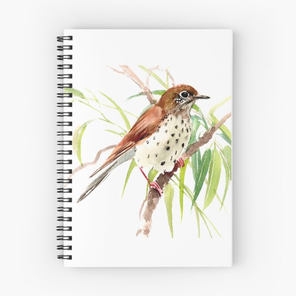 Item preview, Brown Thrasher Bird designed and sold by surenart.