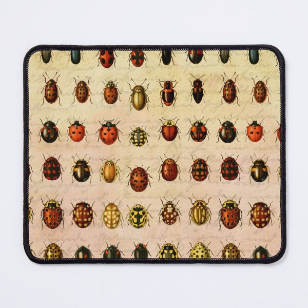 Item preview, Ladybug Ladybird Beetle Insect Bug designed and sold by antiqueart.