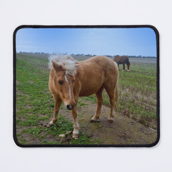 Item preview, "Soft and Charming: The Brown Woolly Palomino Pony" designed and sold by A-Work-Of-Art.