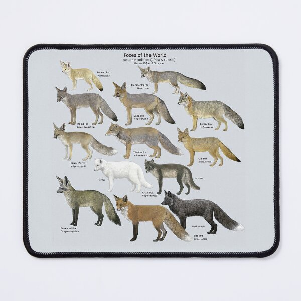 Item preview, Foxes of the world designed and sold by AzalaiBubbles.