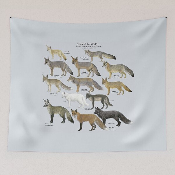 Item preview, Foxes of the world designed and sold by AzalaiBubbles.