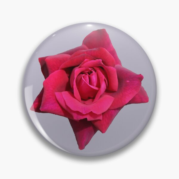 Item preview, A Beautiful Red Rose on Pale Mauve designed and sold by STHogan2.