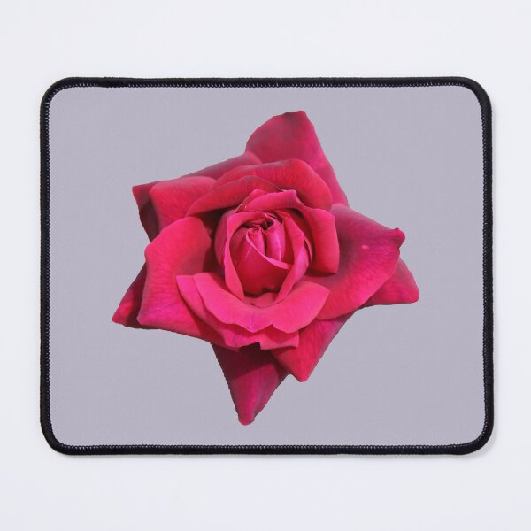 Item preview, A Beautiful Red Rose on Pale Mauve designed and sold by STHogan2.