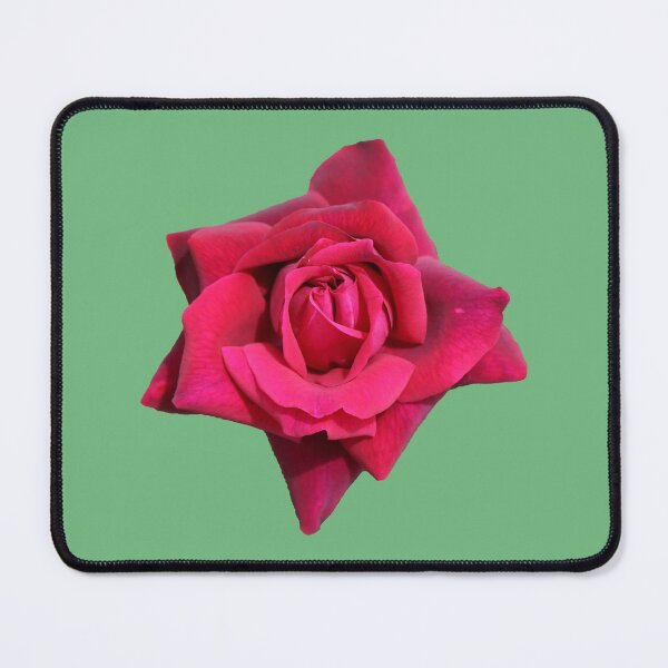 Item preview, A Beautiful Red Rose on Green designed and sold by STHogan2.