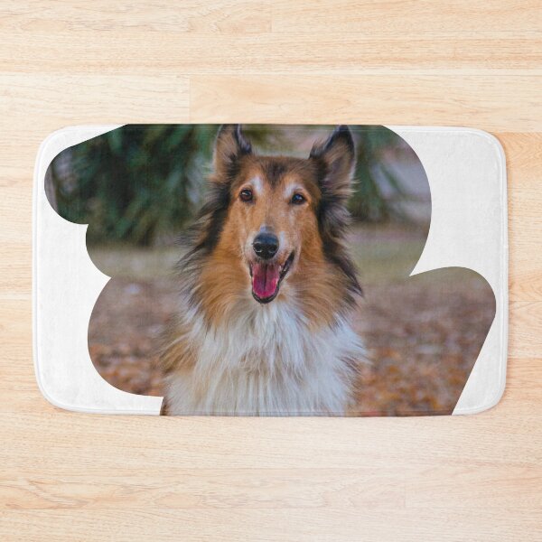 Item preview, Rough Collie Photo designed and sold by TheAnimalZ00.