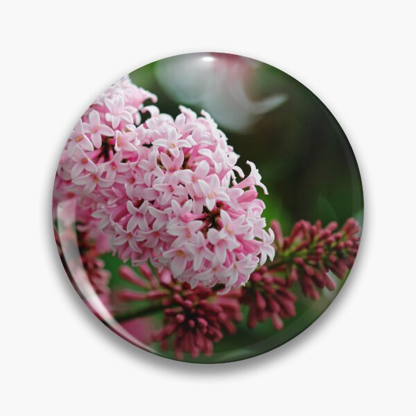 Item preview, Showy Pink Lilacs designed and sold by Debbie Oppermann.